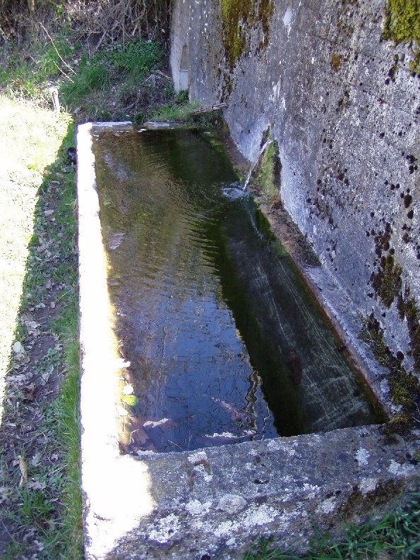 Fontanili della Toscana